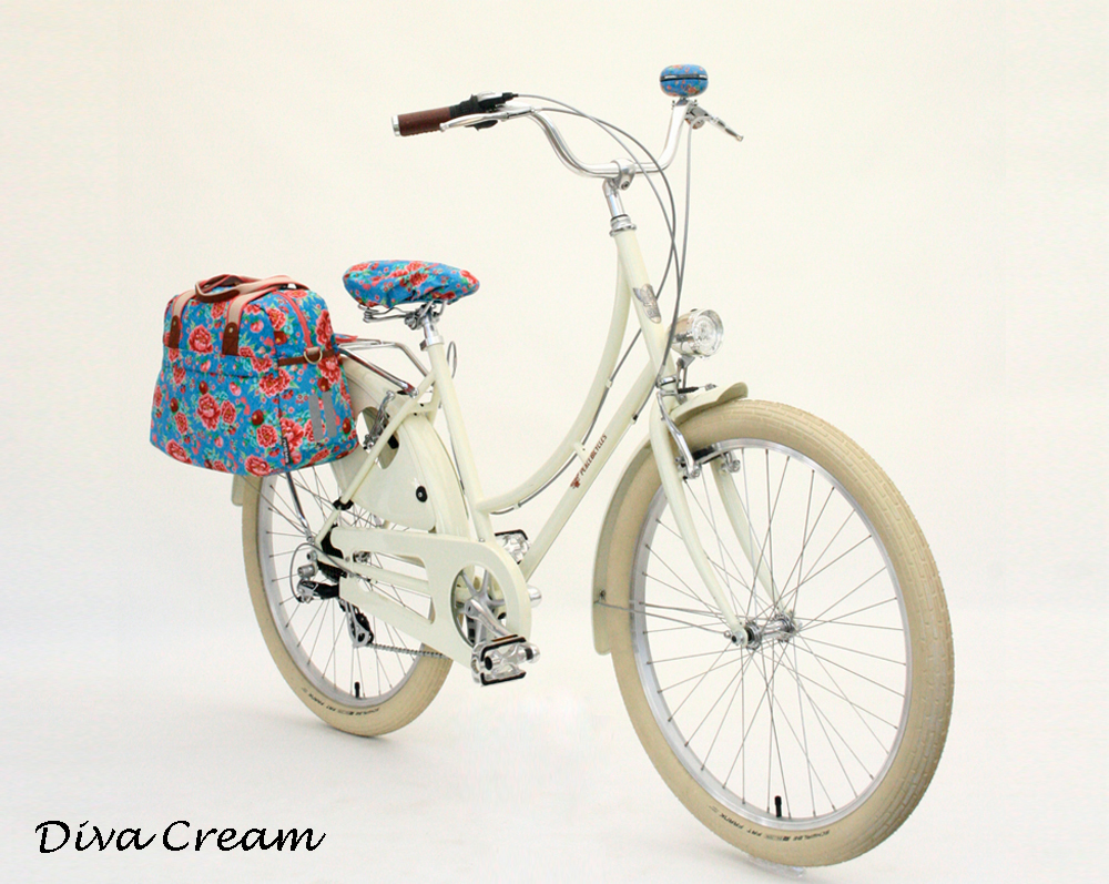 Beautiful Bicycle (a value combo)-409