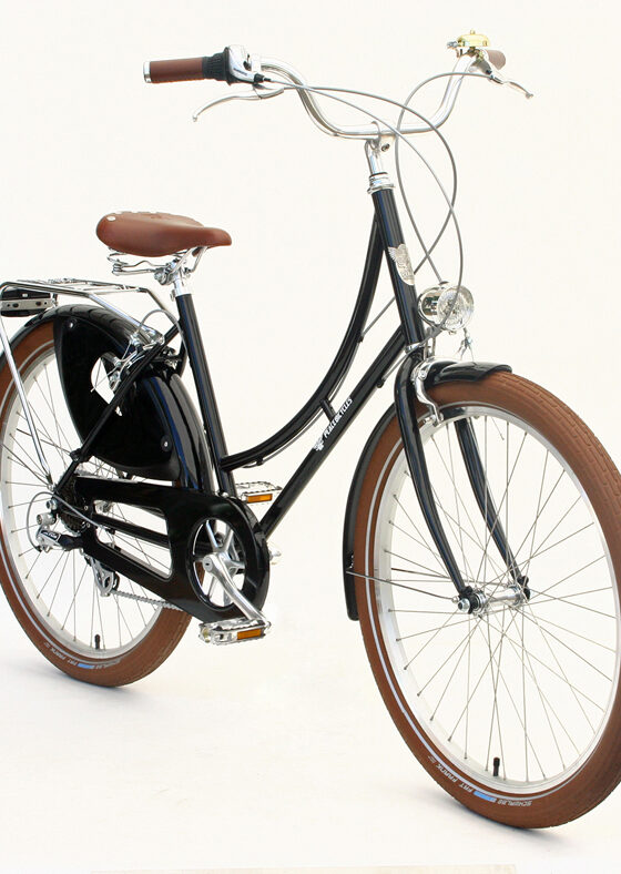 Peace Dreamer step through frame Peace Dreamer step through frame