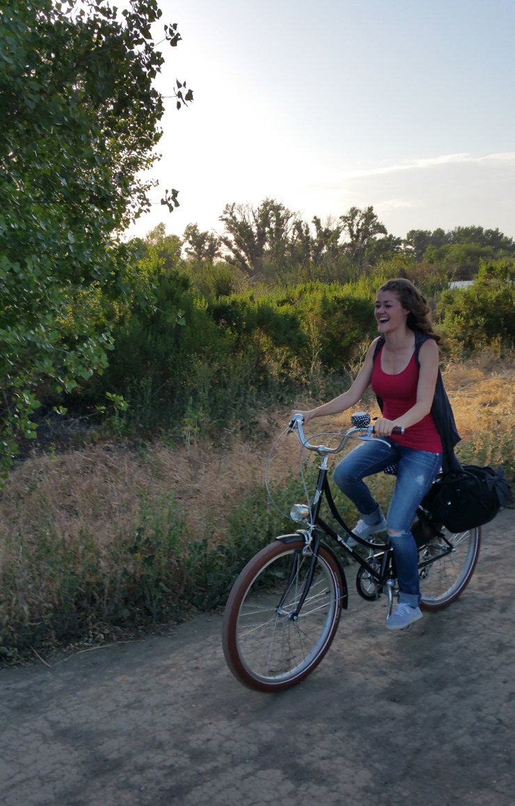 dutch-bike