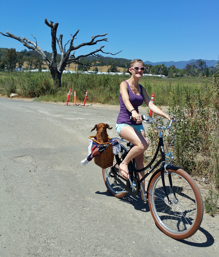 biking with dogs
