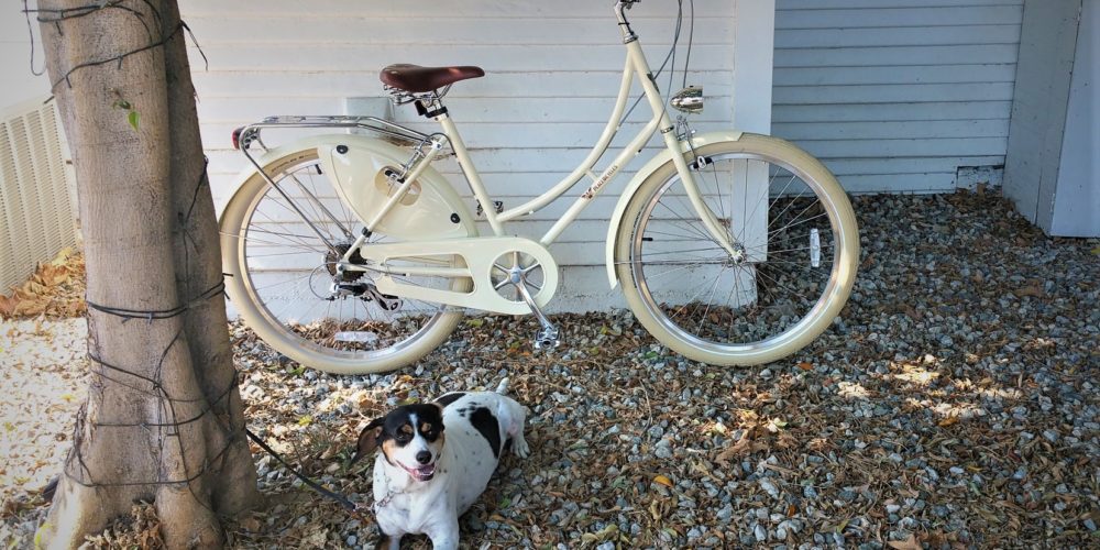 26 women's cruiser bike