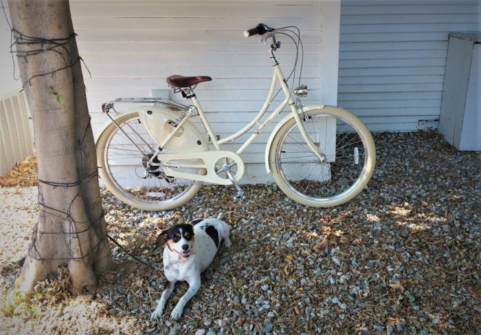 26 women's cruiser bike