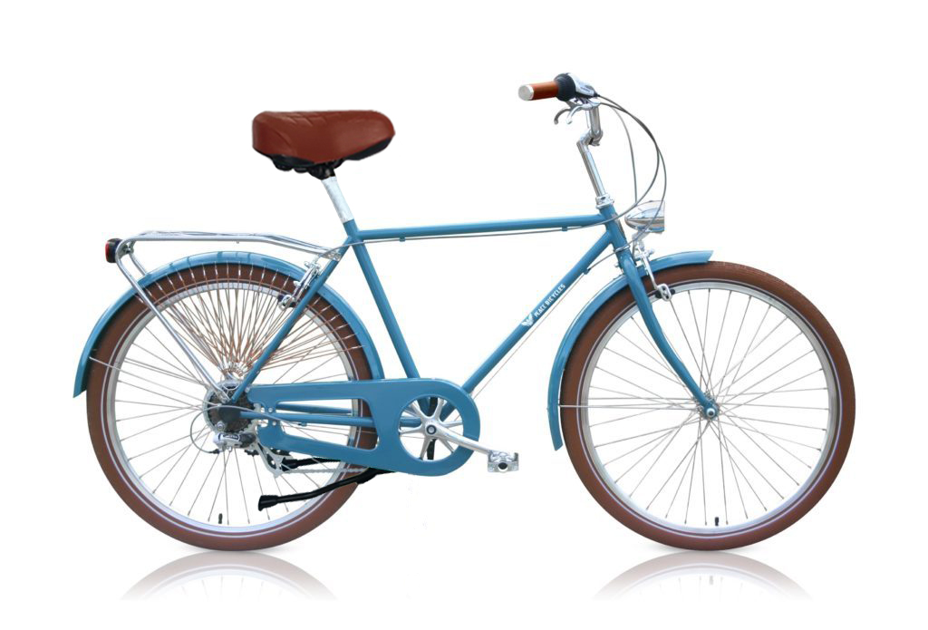 Stone-blue-7-d-dutch-cruiser-bicycle-for-pp-1-1-1024x695-2-1024x695-2 copy 2 Diamond Frame 7-speed D