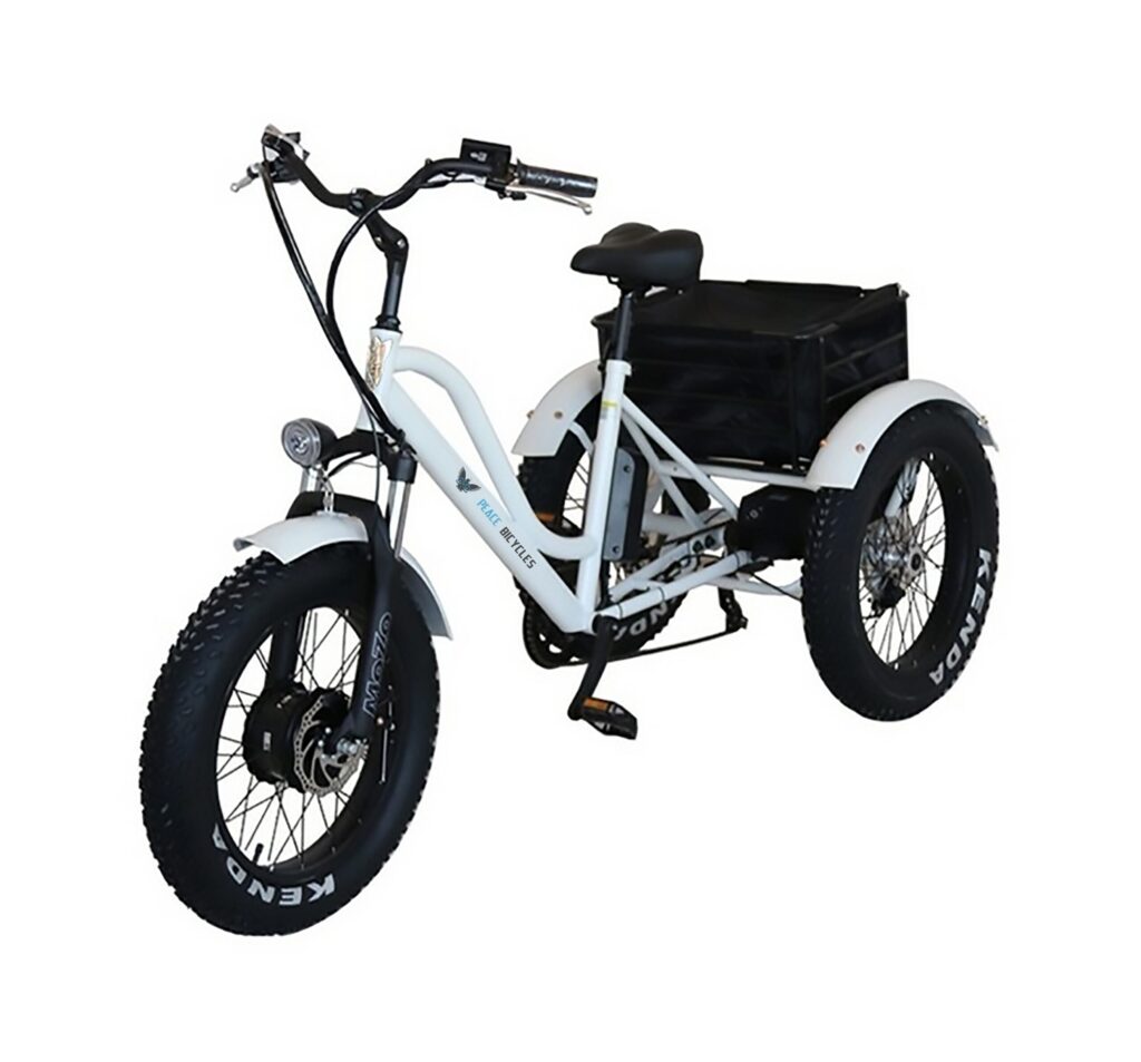 Peace E-Trike 3-Wheel Cargo E-Bike